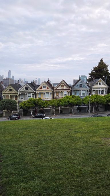 Painted Ladies